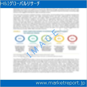 市場と産業調査レポートのイメージ